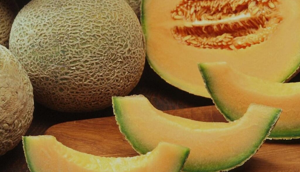 muskmelon